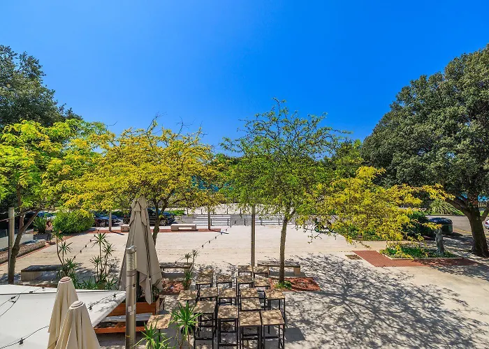 Traumhaftes Direkt An Der Strandpromenade Mit Vielen Palmen *